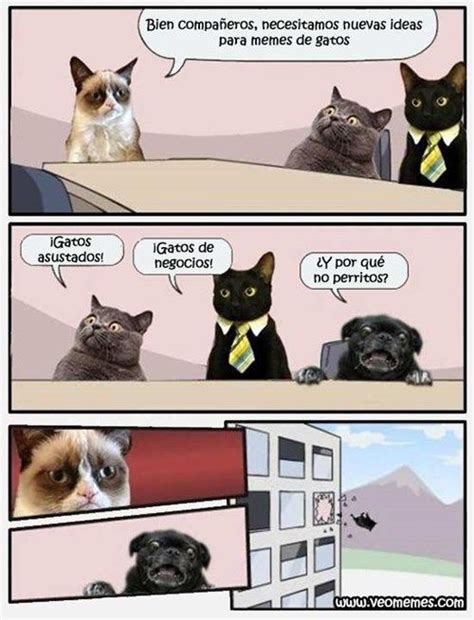 Memes De Gatos Imagenes Chistosas