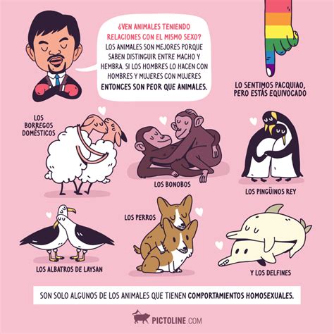 Homosexualidad En Animales Muhimues