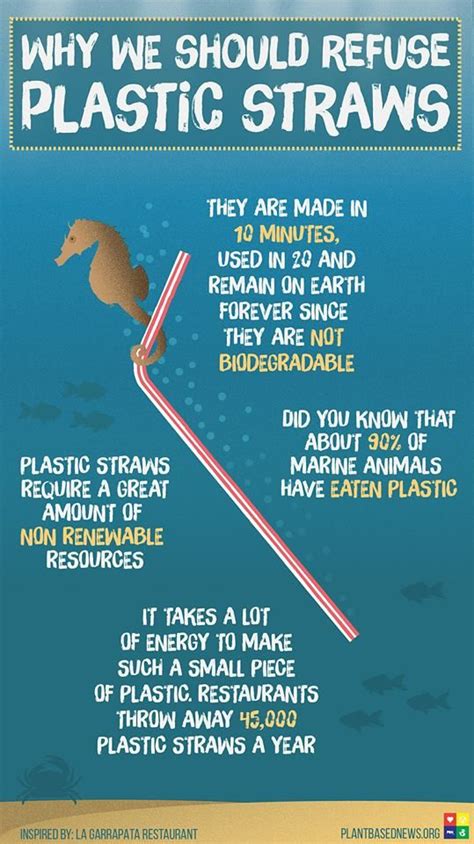 Why We Should Refuse Plastic Straws Ecofriendly Eco