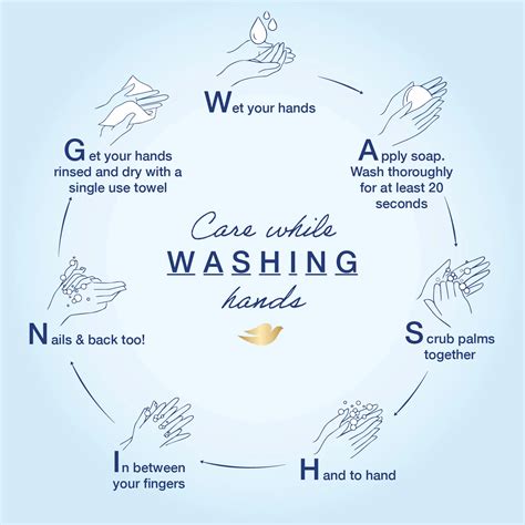 Washtocare The Importance Of Hand Washing Dove