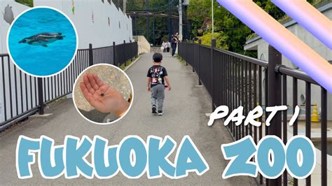 Fukuoka Zoo Part 1 Makiyama Channel Youtube