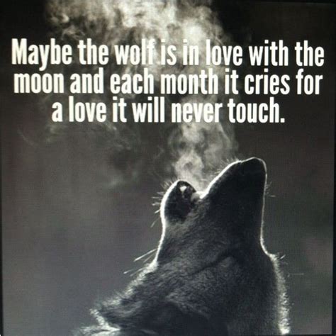 Good Wolf Quotes Quotesgram