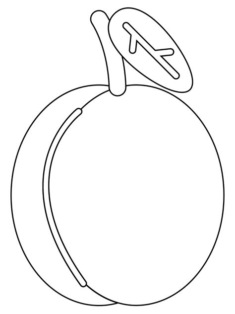 Plum Coloring Page Colouringpages