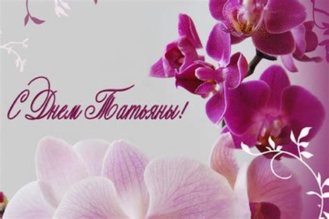 Щорічно тетянин день в україні святкують 25 січня, також у цей день прийнято святкувати день студента, адже тетяна в свій час була покровителькою студентства. Привітання і народні прикмети на Тетянин день-2017 ...