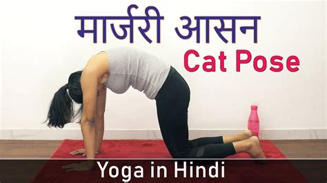 Cat Pose Yoga Asana Marjariasana In Hindi Yoga Poses For Weight