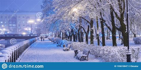 Amazing Winter Night Landscape Of Snow Covered Bench Among