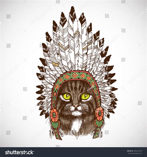 Maine Coon Cat Portrait Native American เวกเตอร์สต็อก ปลอดค่า