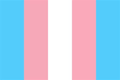 Trans Pride Flag Color Palette