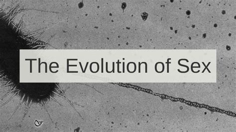The Evolution Of Sex By Paul Ronevich