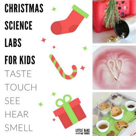 Christmas Science Labs For Santas 5 Senses Experiments