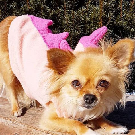 Dog Costume Dinosaur Spikes Pink Fleece Hoodie In All Sizes Etsy