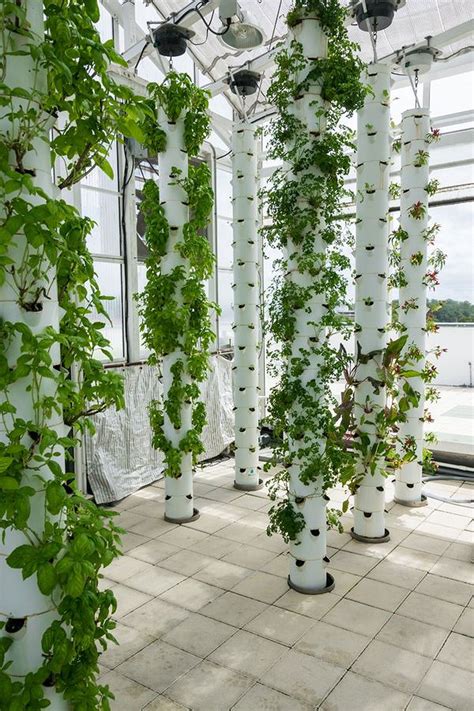 Indoor hydroponic systems involve plants that are placed in a basket poised in a reservoir with nutrient solution. 30+ Vertical Hydroponics Gardening Ideas - gardenmagz.com