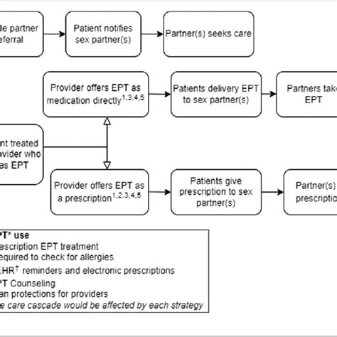 Care Cascade Diagram Informed By Schillinger Et Al 2006 And Groene