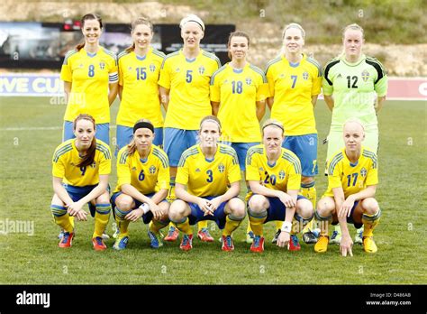 sweden team group line up swe march 6 2013 football soccer sweden team group l r