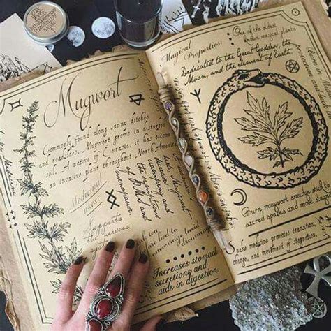 Magick Witchcraft Hedge Witch Witch Aesthetic Witchy Academia Aesthetic Psychic Aesthetic
