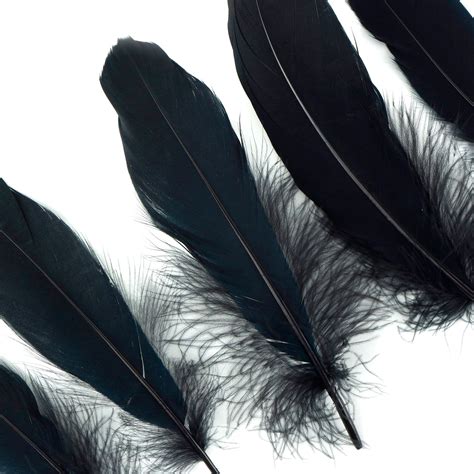 Goose Satinette Feathers 4 6 Black Loose Goose Etsy