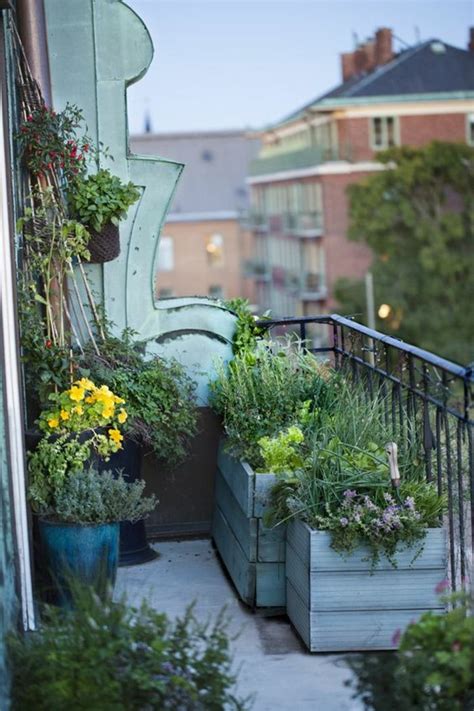 Deshalb sollten kräuter wie basilikum, dill, petersilie,. Kräuter pflanzen - ein Balkon voller Duft ...