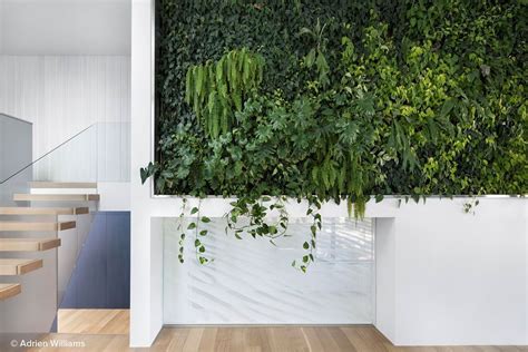 15 Living Wall Designs For A Fresh Home Proflowers Blog
