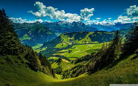 Free Photo Mountainous Landscape Fresh Green Landscape Free Download Jooinn