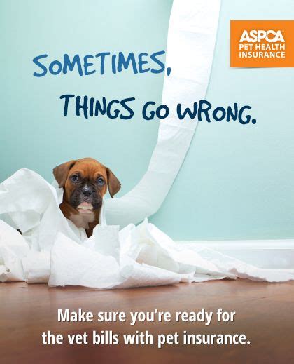 What pets does aspca cover? See how we can help when accidents happen. Enroll today ...