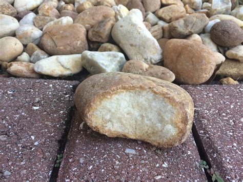 I Found A Rock That Looks Like Bread With A Bite Taken Out Of It R