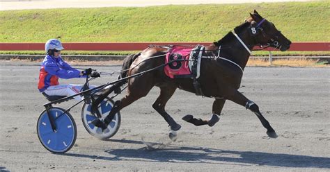 Trotter Sets Track Record At Second Start Racing Queensland