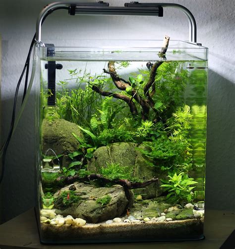 If you couple your tank with the best lighting, not only will you have an aesthetically pleasing decoration, but also a relaxing piece of living art. Pin on Aquascaping