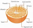 The orange fruit and its products | Orange Book