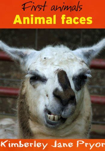 Animal Faces First Animals Book 5 By Kimberley Jane Pryor Goodreads