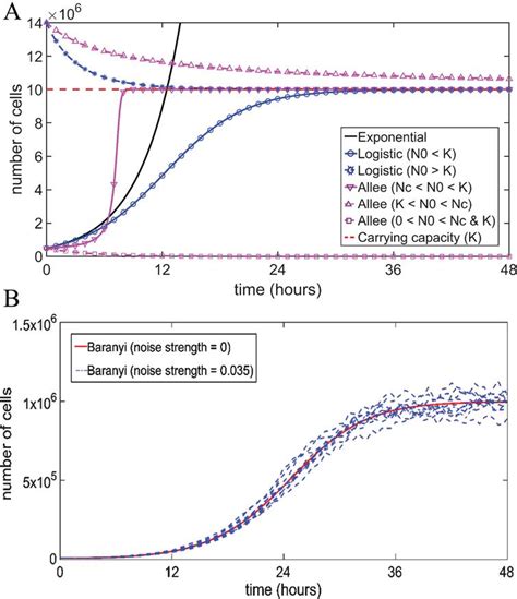 Exponential Growth Model Formula Population