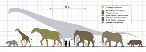 Image Result For White Rhino Size Comparison Prehistoric World