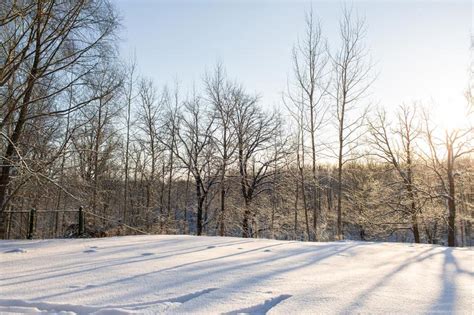 Dawn Frosty Morning Winter Landscape Of Frosty Trees White Snow And