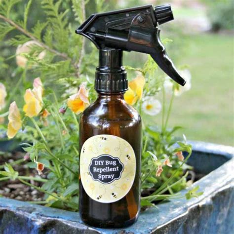 Let's dive in and take a closer look university of nebraska (1995): Essential Oil Insect Repellent Recipe | Insect repellent ...