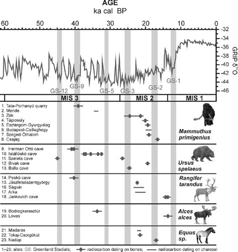 Chronological Distribution Of The Late Pleistocene Cold Adapted Large