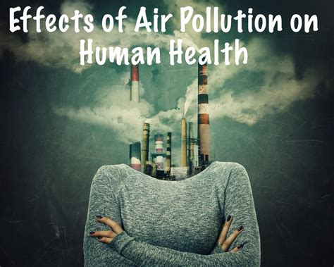 7 Effects Of Air Pollution On Human Health Pittsburgh Healthcare Report