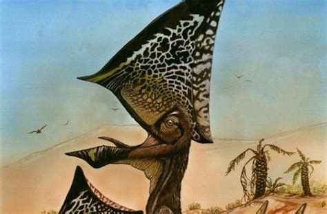 New Flying Reptile Discovered In Pterosaur Boneyard Reptiles Ancient Dinosaur Era