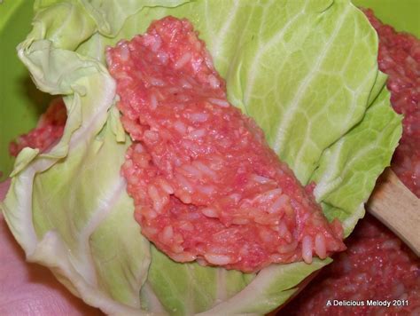 A Delicious Melody Stuffed Cabbage