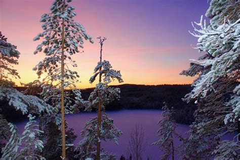 10 Reasons To Visit Swedish Lapland | The Wanderlust Bug