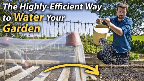 Simple Guide To Watering Highly Effective Watering Methods For The