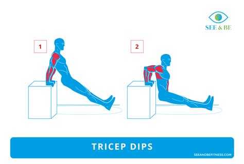 Exercise Of The Day Tricep Dips — Steemkr