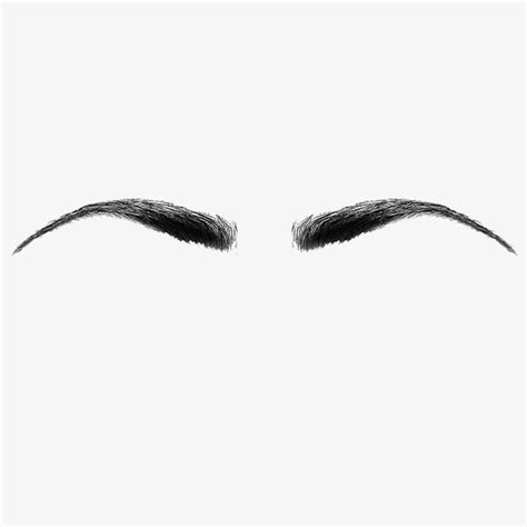 The Best Female Transparent Eyebrows Png Begindestinyimage