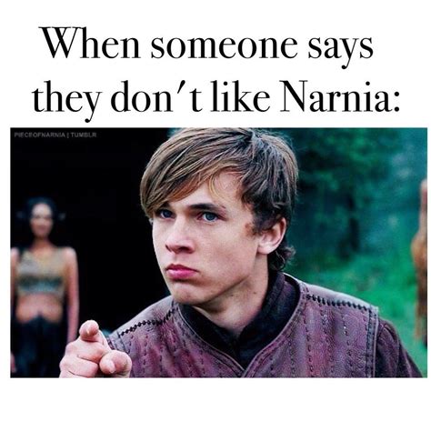 Pin By Addie On Memes Narnia Narnia Movies Chronicles Of Narnia
