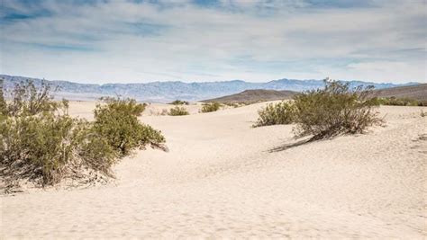Five Reasons To Protect The California Desert The Pew Charitable Trusts