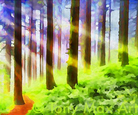 Sun Rays In Still Forest British Columbia Paintings By Tony Max
