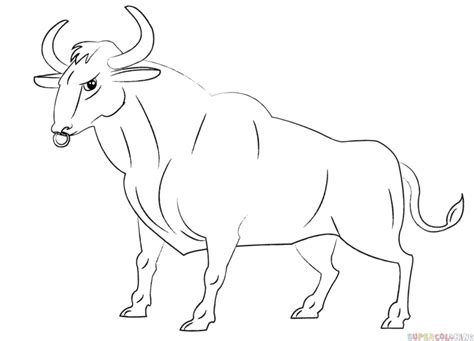 How To Draw A Cartoon Bull Step By Step Drawing Tutorials