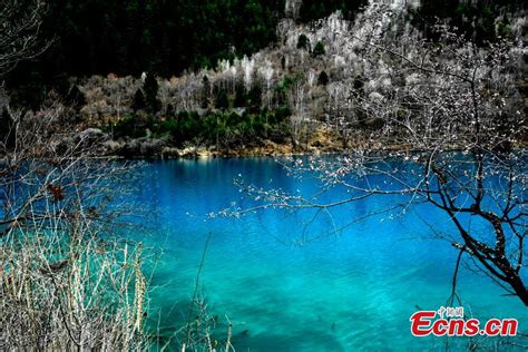 Jiuzhaigou A Fairyland In Spring