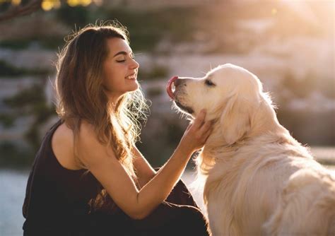 We pride ourselves in delivering excellent service to the cats and dogs entrusted to our care. 5 Ways to Show Your Dog You Love Them | Canna-Pet®