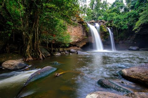 Head to the ton nga chang wildlife sanctuary to explore the dense jungle, and hike up the ton nga chang waterfall to see this natural beauty shaped like elephant tusks! Que faire à Pak Chong au nord est de bangkok - 2020
