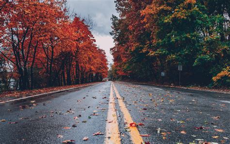 3840x2400 Road Between Autumn Trees 5k 4k Hd 4k Wallpapersimages