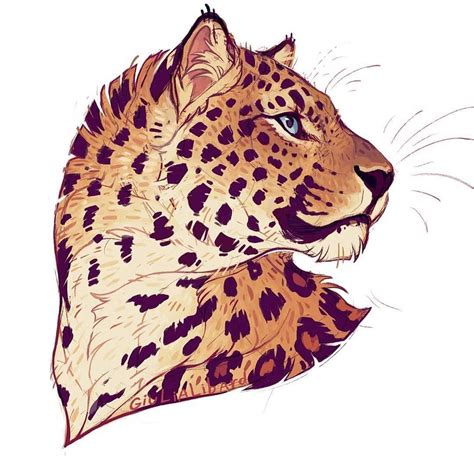 How To Draw A Cute Amur Leopard Peepsburgh